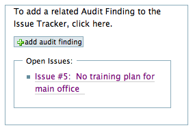 Audit_related_findings