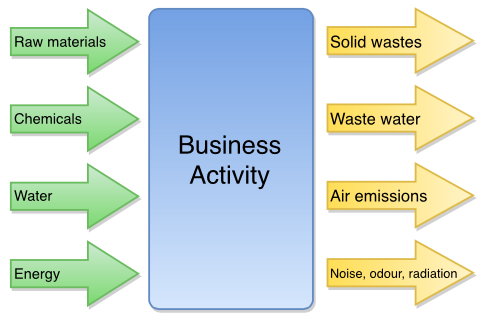 Environmental Process Flows
